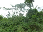 25289P1020132.JPG