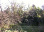 2012-09-03_13-31-44_Drought01.JPG