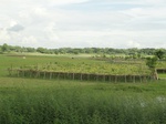 22157DSC00401.JPG