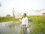 11352gt138-cropland-1.jpg