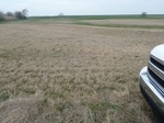 29232LAHO20110411W.JPG