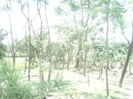 21811DSC08369.JPG