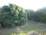 26493RIMG0384.JPG