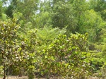 495819042008(45).JPG