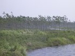 1283R0015091_small.jpg