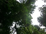 45005CIMG2190.JPG