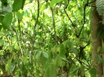 48752CIMG5089.JPG