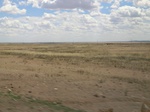 36477CIMG0246.JPG