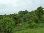 18720P1000558.JPG