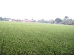 14434IMG_4785.JPG