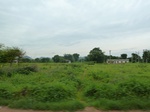 18387P1000223.JPG