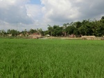 31206CIMG1068.JPG