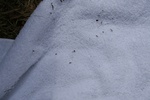 428IMG_3362.JPG