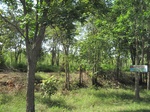 33352IMG_5692.JPG