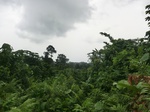45531CIMG2616.JPG