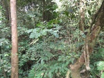 50197DSC01996.JPG