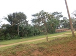 49207CIMG5544.JPG