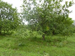 18392P1000228.JPG