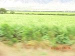 36325CIMG3524.JPG