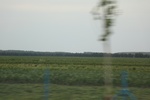 2024-08-05_16-08-56_D95386B0-08F5-4926-9682-2A0256B561ED.jpeg