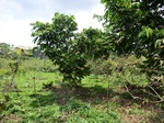 46500CIMG0789.JPG