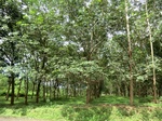 34876CIMG1547.JPG