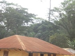 48648CIMG4985.JPG