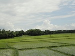 22106DSC00347.JPG