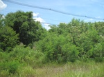 33502IMG_5745.JPG