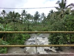 31101CIMG0963.JPG