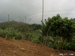 40512Anh5576.jpg