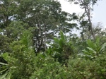 49421CIMG5758.JPG