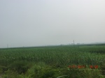 32752CIMG1884.JPG