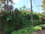 30327CIMG1866.JPG