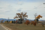 2022-11-02_16-21-24_717F5D28-FABA-4138-83CC-033BAFE61EBC.jpeg