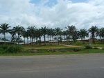 25757P1020176.JPG