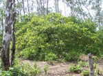1715219042008(68).JPG