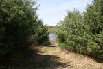 280IMG_4176.JPG