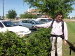 8802Bushes.jpg