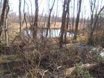 16676RIMG0162.JPG