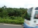 25521P1020366.JPG