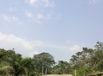 49721CIMG6058.JPG