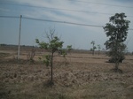 28145IMG_4974.JPG