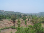 1723720042008(24).JPG