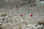 27546DSC_8120.JPG