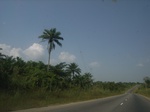 8980RIMG0055.JPG