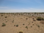 36705CIMG0474.JPG