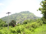 15457IMG_4334.JPG
