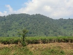 30589CIMG0385.JPG