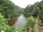 48130CIMG4467.JPG